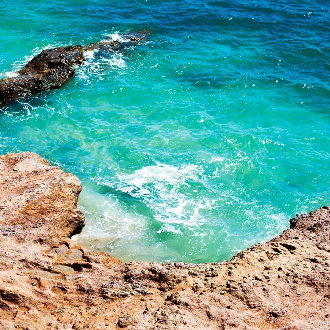 Sea Of Cortez Beach Club Lejlighedshotel San Carlos Nuevo Guaymas Eksteriør billede